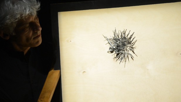 8rajImage11 617 347 90