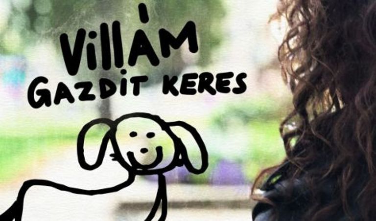 villam gazdit keres